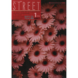 eBook- STREET magazine No.31 ~ No.40 set